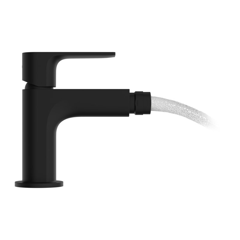 Rebris E Vertical Bidet Faucet, Matte Black