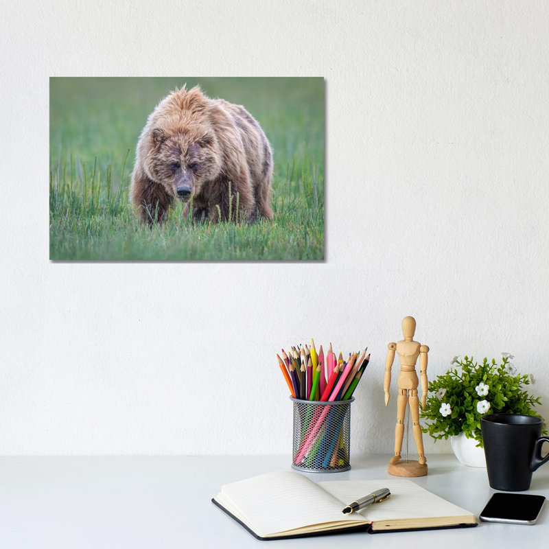 Coming Right At You by Jeffrey C. Sink - Wrapped Canvas Print, 20.32 cm H x 30.48 cm W