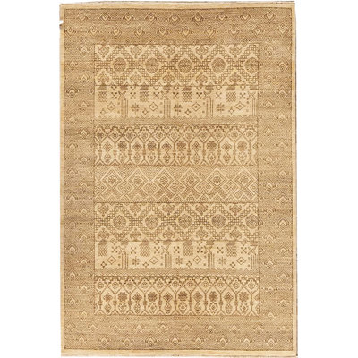 Southwestern Area Rug in Beige