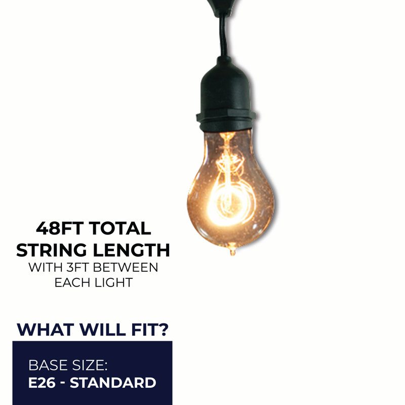 48-ft Outdoor 15 - Bulb Standard Incandescent String Light (End to End Connectable)