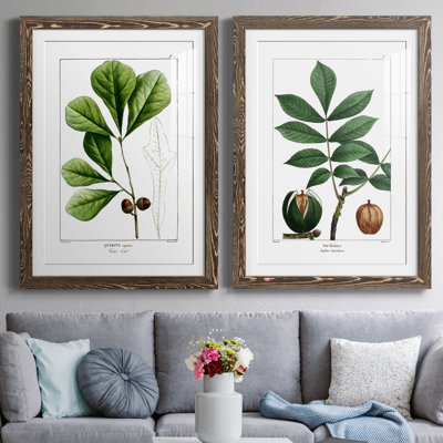 " White Oak " 2 - Pieces