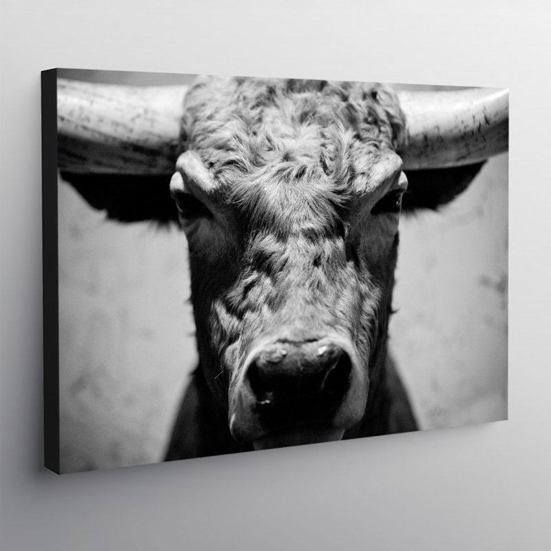 Bulls Head Black And White - Wrapped Canvas Print, 31cm H x 41cm W x 4cm D