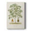 Arbre antique avec fruit VI - galerie Cavas-1345284422