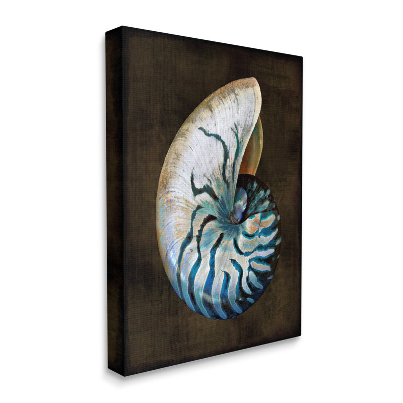 Nautilus foncé foncé par Caroline Kelly, H 20 po x l 16 po x P 1,5 po