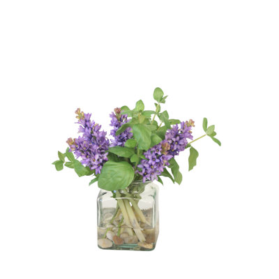 Hyacinth's in Clear Vase