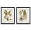 Fougère Botanical IV-ensemble de 2 reproductions d’art sur papier encadrée-573384150