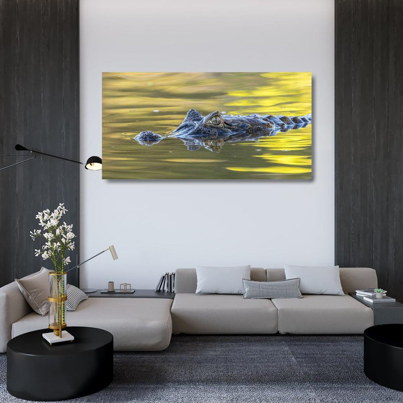 Reproduction d'art sur toile Beachcrest Home ™ Jaynes Gallery Gallery: Brésil, Pantanal, H 26 po x l 48 po