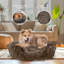 Lit pour chien Elam Super Lux Shaggy-1458732011-1458731878