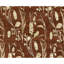 Floral Area Rug