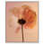White Floater Frame