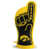Iowa Hawkeyes