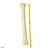 Real Giraffe Leg Bone