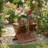 Brecksville Solid Wood Accent Stool