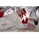 Rooshi Floral Gray/Red Area Rug
