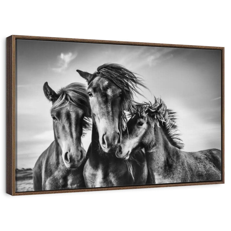 Chevaux Lemvig, Cadre flottant noyer, 40 po x 27 po