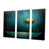 Wrapped Canvas