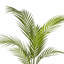 Anneloes 70cm Faux Palm Tree in Pot Liner