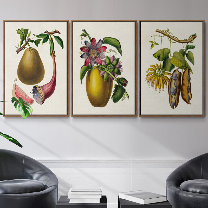 Ensemble de 3 pièces encadrées sur toile sépia botaniques IV, Noyer, H 40 po x l 78 po