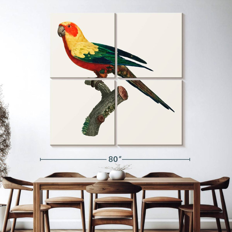 Brampt Sun Conure, 74" H x 74" W