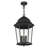 Heaney 3 - Light Outdoor Hanging Lantern-2024796029-2024796030