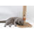 Clian Scratching Post