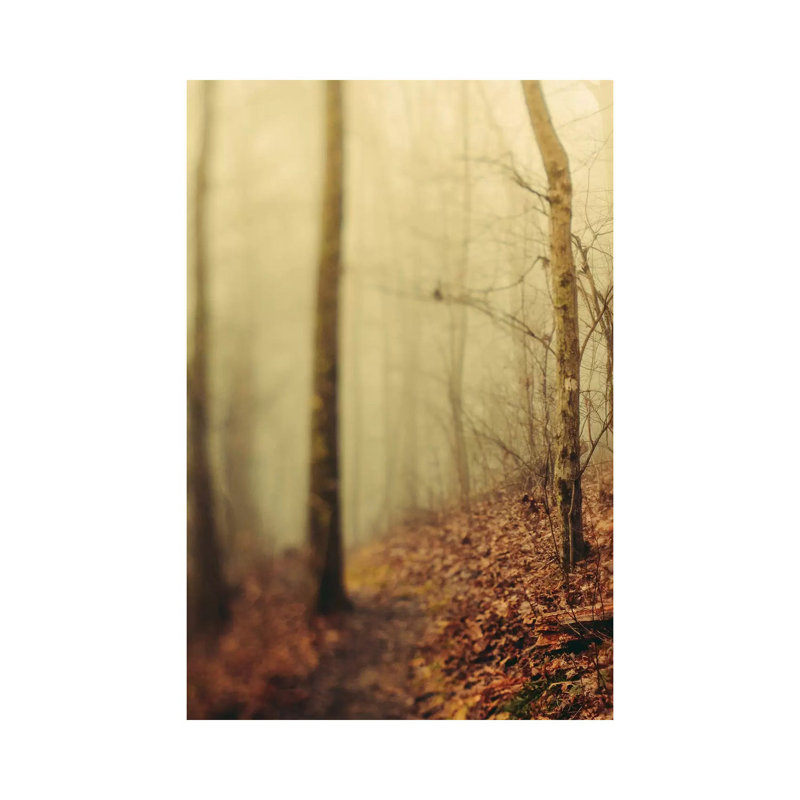 Trees In Fog III - Wrapped Canvas Print, 30.48 cm H x 45.72 cm W