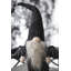 Décoration d'Halloween en tissu 10 x 3 x 15,5 po - gnome noir avec des ailes et un charme fantaisiste