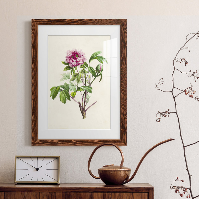 «Pretty Botanicals V», cadre photo, H 38 po x l 28 po x P 1 po, Érable encadré