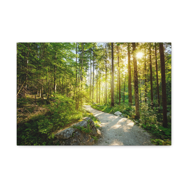 No Frame Print on Canvas, 12cm H x 18cm W