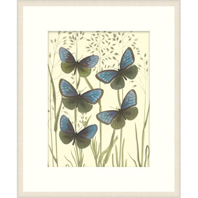 Mariposas 2 Print