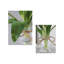 Sapin de 9,06 po-202106554