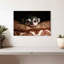 Chihuahua Brampt ludique-107869782