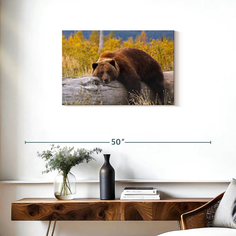 Brampt Resting Grizzly Bear, 20" H x 30" W