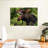 Brampt Wild Bull Moose-107875337