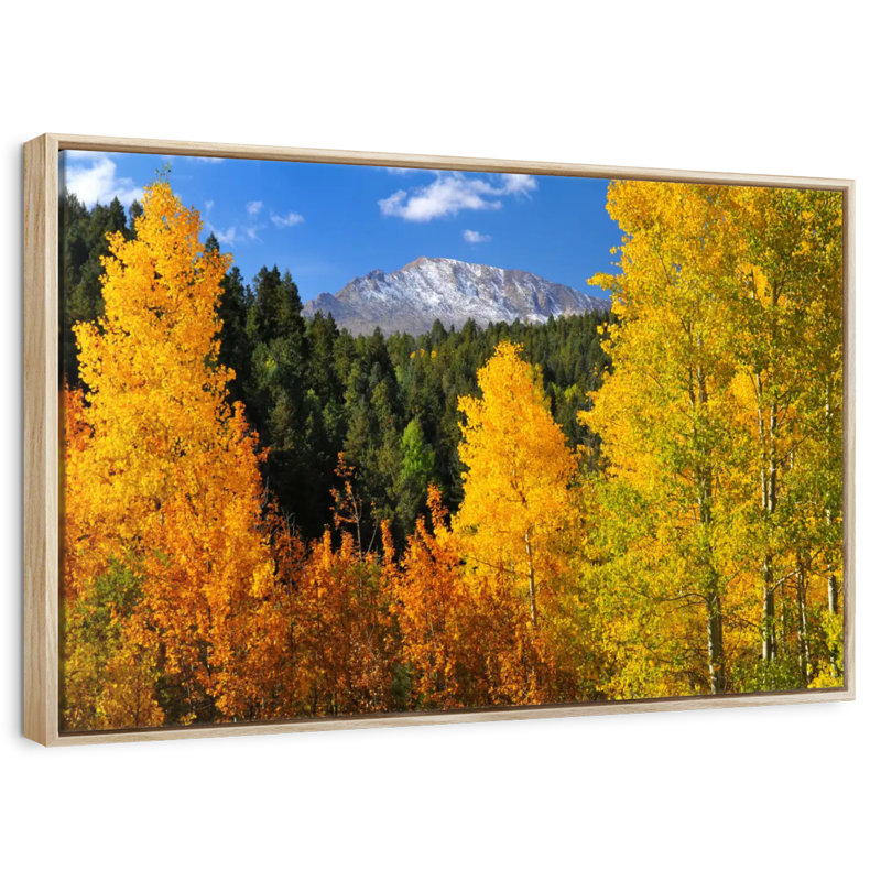 Pikes Peak en automne, 13 po x 9 po, Cadre flottant en bois naturel