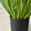 Artificial Faux Foliage Grass in Pot-601629931