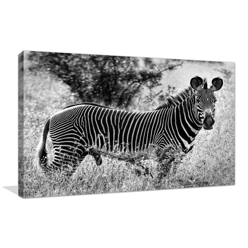«Zebra Lookout», reproduction de photo, H 36 po x l 60 po x P 1,5 po, Toile tendue