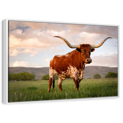 Brown Texas Longhorn