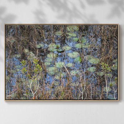 " The Marsh "