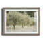 Paintograph Olive Trees - Reproduction de photo sur papier encadrée-2022088735-2022088733