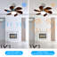 Alisha-Ann 75cm Ceiling Fan with Light Kit-874699847