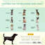 Polyester Pet Bed