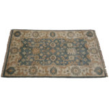 Piccarda Oriental Area Rug in Blue