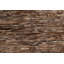 Contemporary Gabbeh  Oriental Area Rug 5x7