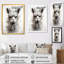 Laine d'alpaga grise Grace I - Alpaca, art mural-72115733-72115739