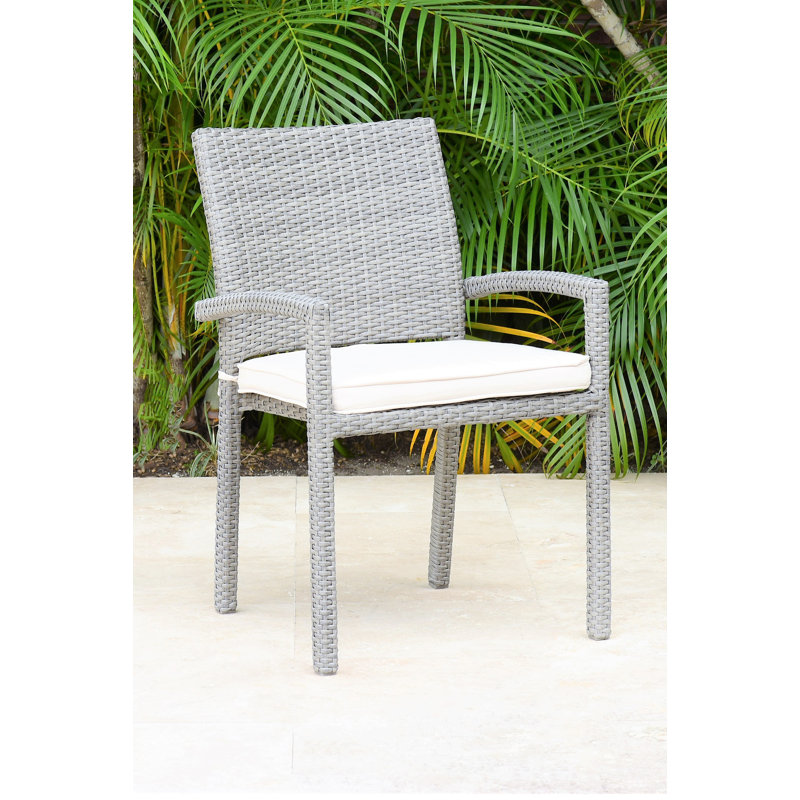 Ensemble de 2 chaises de patio en osier gris Alyisa