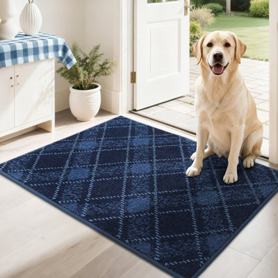 Tapis de porte antidérapant avec envers en TPR - Doux, lavable, paillasson à profil bas pour l'entrée intérieure, parfait pour les animaux de compagnie et la famille