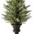 40" Uv Potted Mini Spruce In Urn