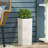 MGO PLANTER