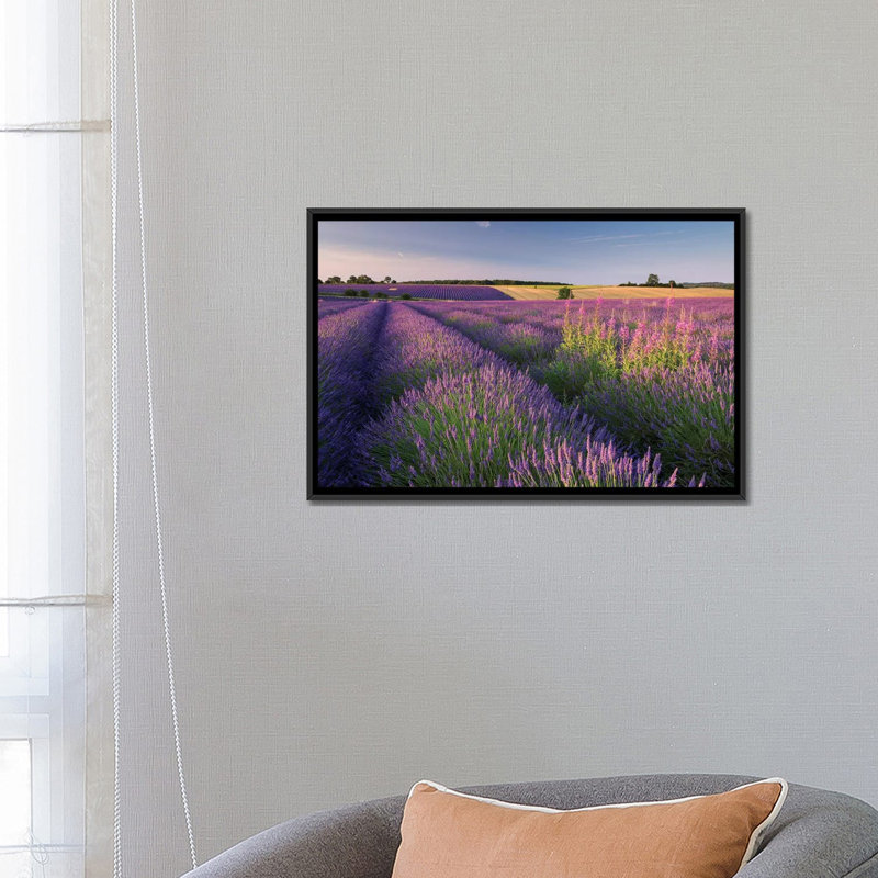 «Pink and Mauve» par Adam Burton - Impression sur toile tendue sur châssis, H 18 po x l 26 po x P 1,5 po, Pas de tapis